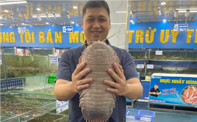 Giant ‘Darth Vader’ Sea Bug Discovered off the Coast of Vietnam