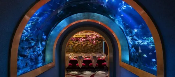 Underwater Restaurants: Where Dining Becomes an Expedition