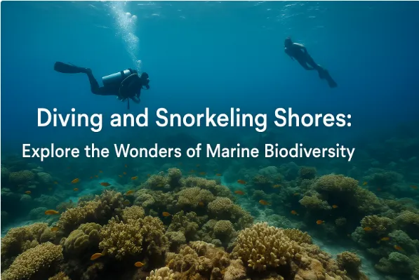 Diving and Snorkeling Shores: Explore the Wonders of Marine Biodiversity