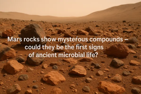 Mars Rocks Show Mysterious Compounds - Could They Be the First Signs of Ancient Microbial Life?