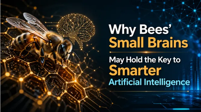 Why Bees’ Small Brains May Hold the Key to Smarter Artificial Intelligence