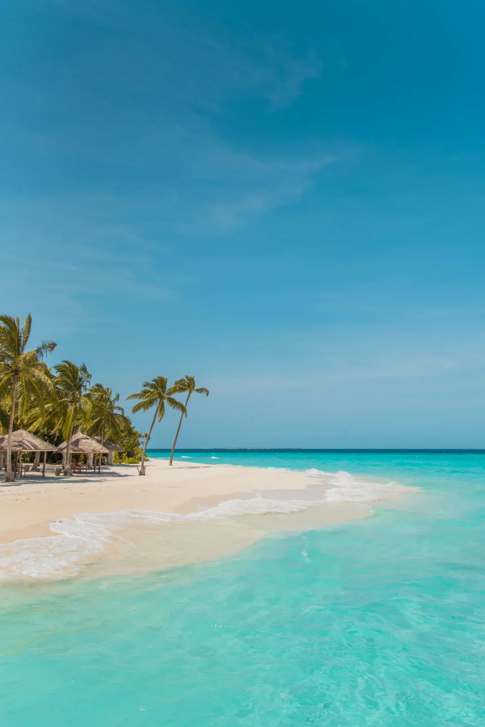 Palm-lined tropical beach and turquoise sea